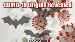 COVID-19 Origins Revealed