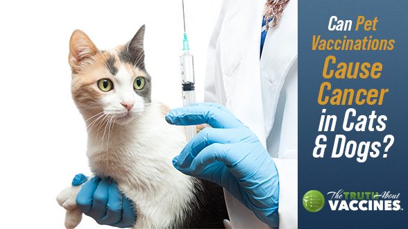 TTAV-10-Pet_Vaccine-Web-588x330