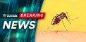 Philippines Rejects Dangerous Dengue Vaccine