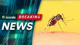 During Dengue Outbreak, Philippines Rejects Dangerous Vaccine During Dengue Outbreak, Philippines Rejects Dangerous Vaccine