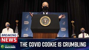 The COVID Cookie is Crumbling