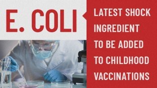 E. coli: Latest Shock Ingredient in Childhood Vaccinations (+ Vaccine Ingredient List) E. coli: Latest Shock Ingredient in Childhood Vaccinations (+ Vaccine Ingredient List)