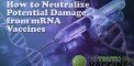 stop damage from mrna vaccines